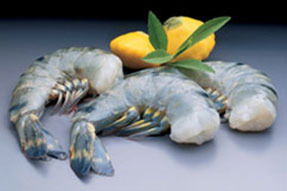 Дмитрий Наенко-Лелюк