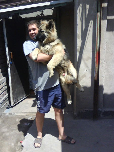 Александр Беляев