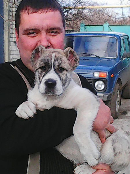 Виталий Юров