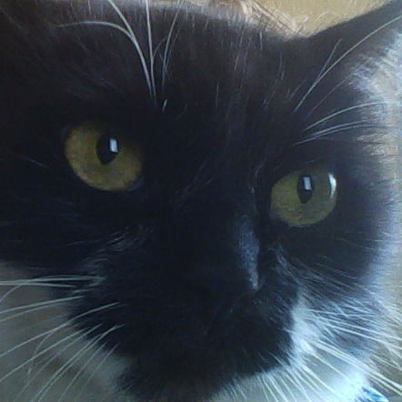 Игорь Марфенко