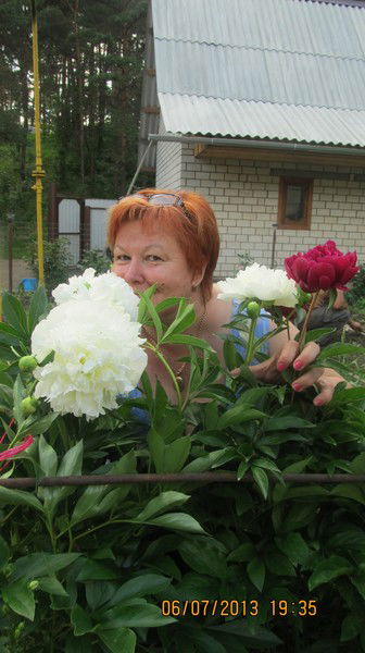 Харчевко Елена