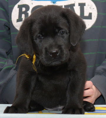 Павел Петухов