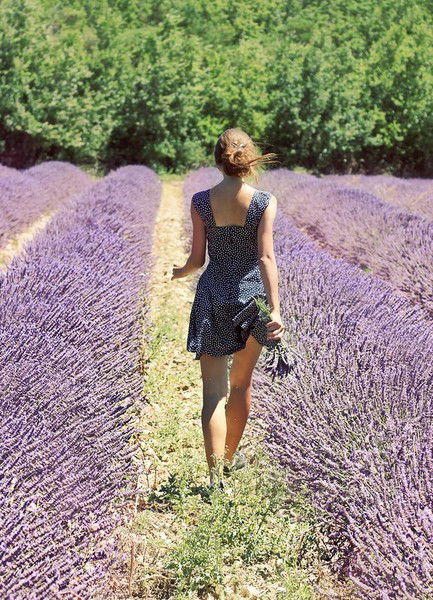 Анастасия Вареникова