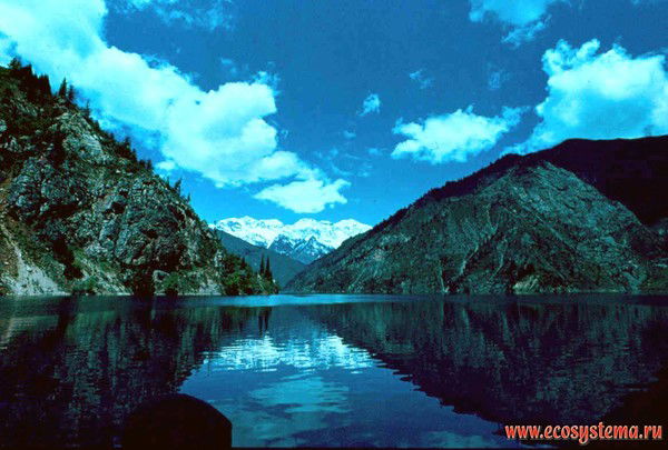 Суши Вок Сущевский Вал, 63