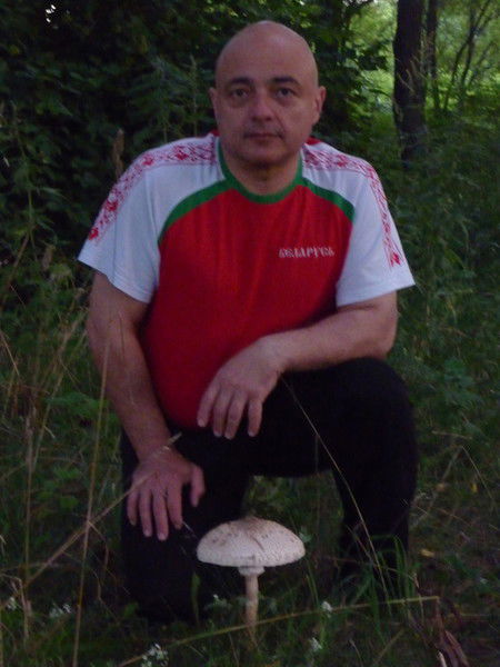 Илья Кривилевич