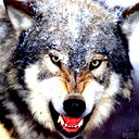 Дмитрий Быстров