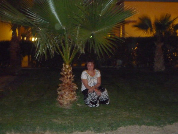 Елена Мельникова