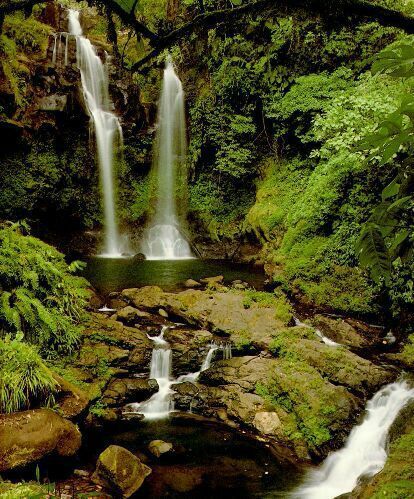 Владимир Филиппов