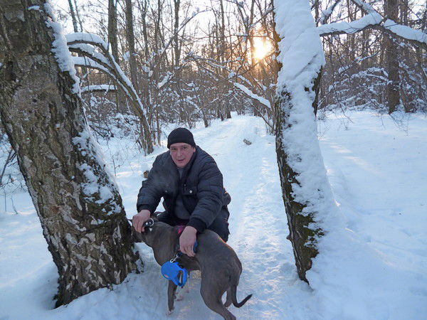 Дмитрий Студеникин