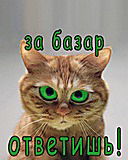 Егор Неженский