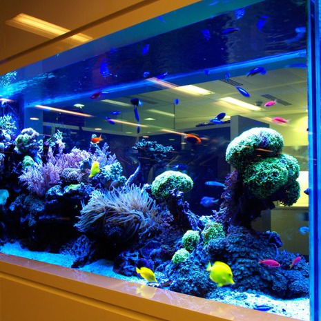 Олег Колесников