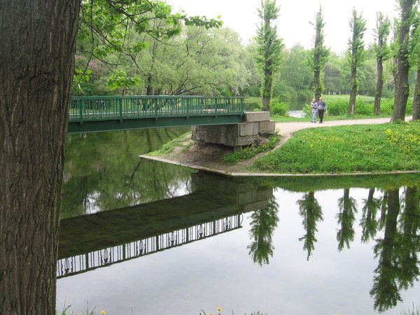 Елена Братчикова