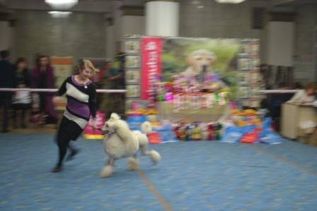 Анастасия Янушкевич