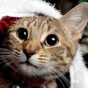 Маргарита Злобина