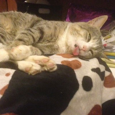 Владимир Гринько