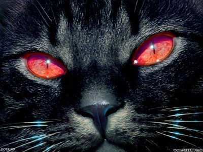 Максим Жменя