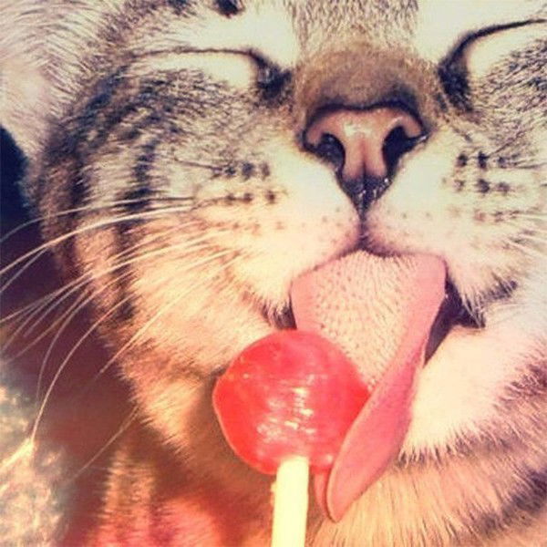 Юля Королюк