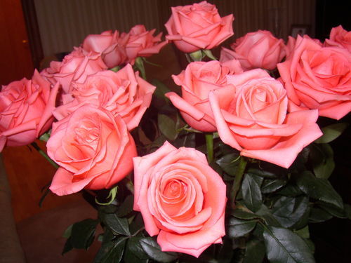 Екатерина Галаган