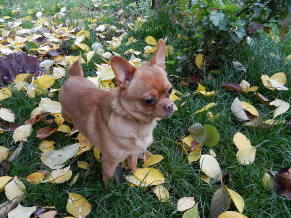 Ольга Рябоконь