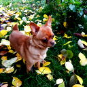 Ольга Рябоконь