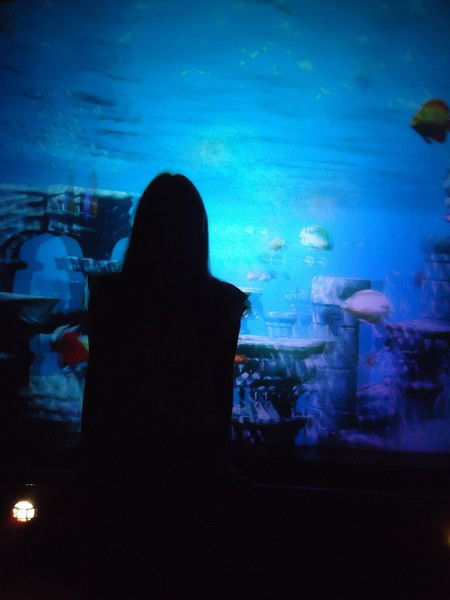 Неизвестно Неизвестно