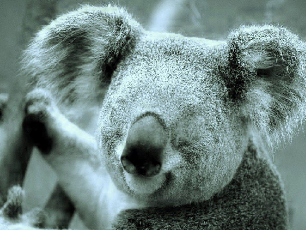 Валерия Романова