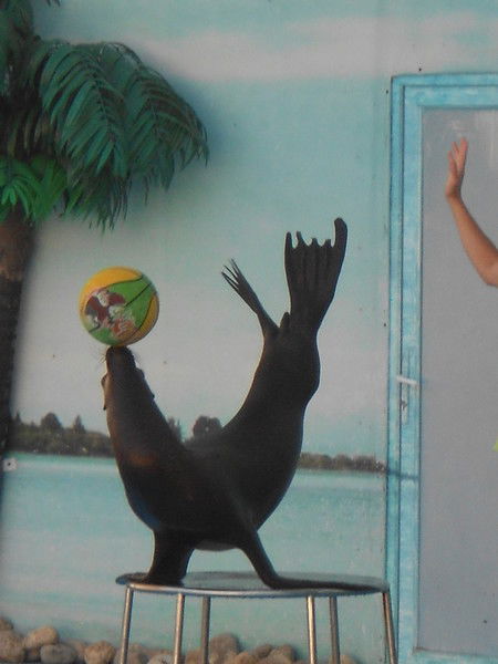 Ооо Пп Промэнерго