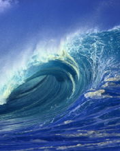 Андрей Веренинов