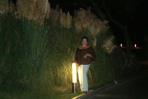 Елена Борунова