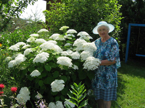 Лидия Малышева