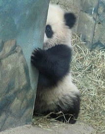 Женя Варламов