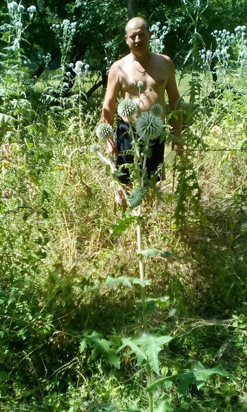 Андрей Алпатов