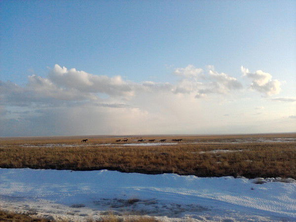 Шаттыгуль Амитовна