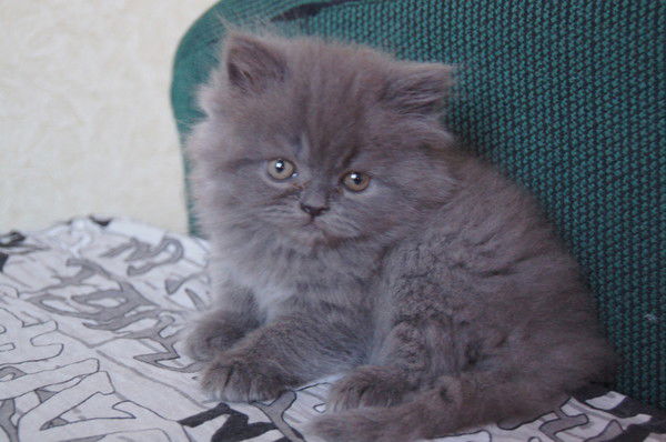 Геннадий Попов