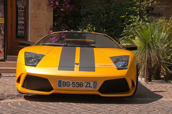 Дмитрий Мацкевич