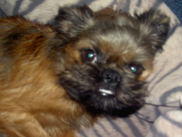 Вячеслав Векшин