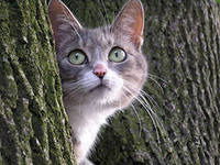 Оксана Маховицкая