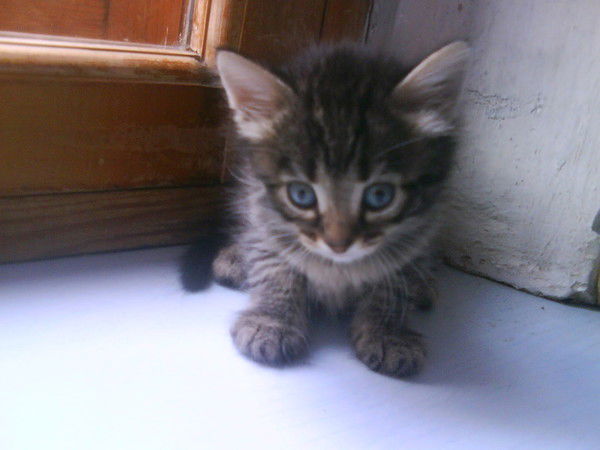 Ульяна Иванова