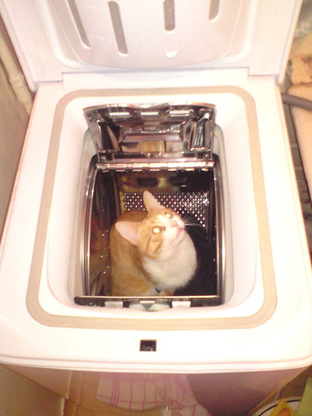 Станислав Панин