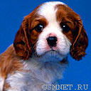 Ирина Викторовна