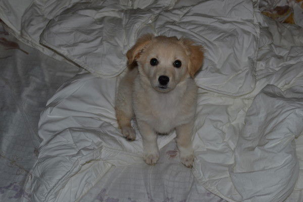 Маша Семёнова