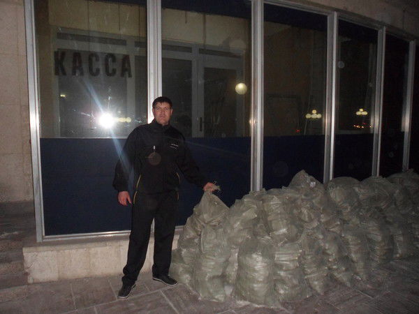 Денис Новиков