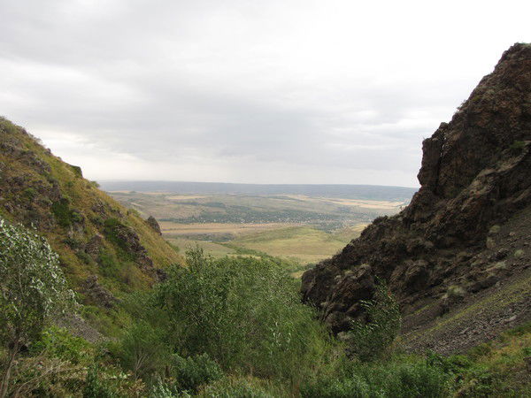 Алексей Попов