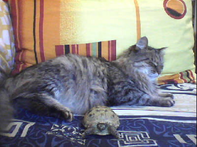 Даша Батрасова