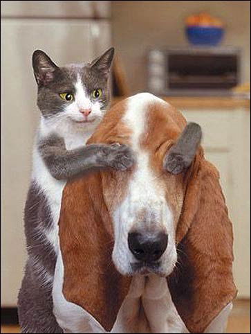 Ренат Сулейманов