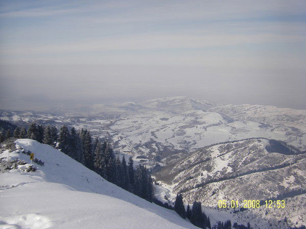 Павел Максим