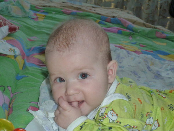 Алексей Перов