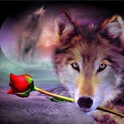 Александр Плакидов