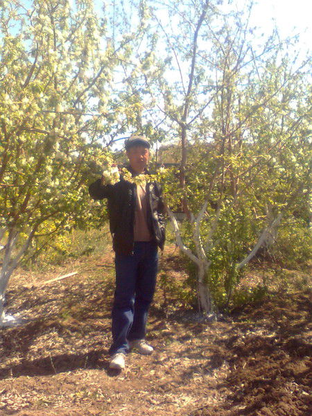 Владислав Хван