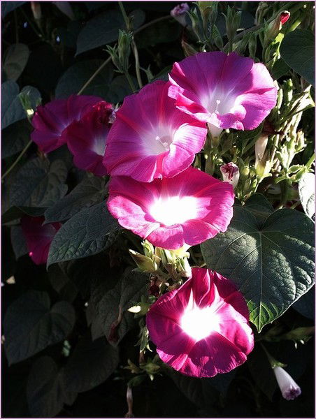 Татьяна Арпишкина